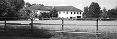 gest&uuml;t ostarrichi