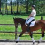 I Z C < > ; F a v o r i t e n ;