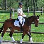 I Z C < > ; F a v o r i t e n ;