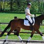 I Z C < > ; F a v o r i t e n ;