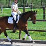 I Z C < > ; F a v o r i t e n ;