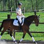 I Z C < > ; F a v o r i t e n ;