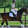 I Z C < > ; F a v o r i t e n ;