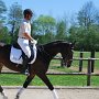 I Z C < > ; F a v o r i t e n ;