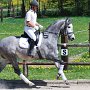 I Z C < > ; F a v o r i t e n ;