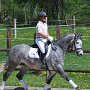 I Z C < > ; F a v o r i t e n ;