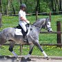 I Z C < > ; F a v o r i t e n ;