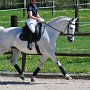 I Z C < > ; F a v o r i t e n ;