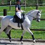 I Z C < > ; F a v o r i t e n ;