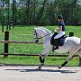 I Z C < > ; F a v o r i t e n ;