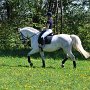I Z C < > ; F a v o r i t e n ;