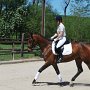 I Z C < > ; F a v o r i t e n ;