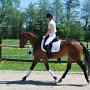 I Z C < > ; F a v o r i t e n ;