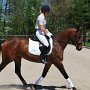 I Z C < > ; F a v o r i t e n ;
